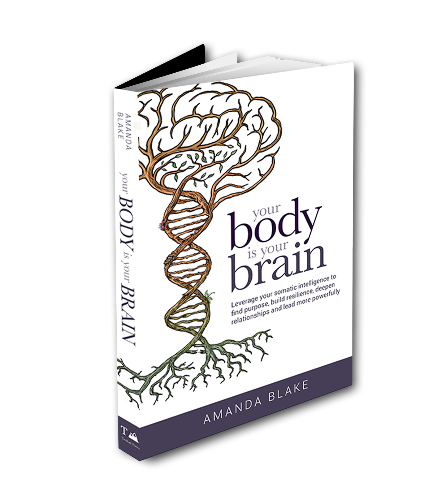 body brain book