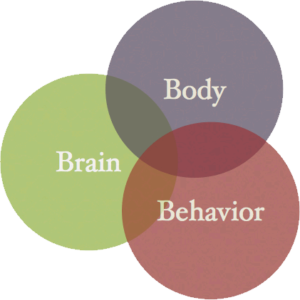 https://embright.org/wp-content/uploads/2020/02/bodybrainbehavior-300x300.png